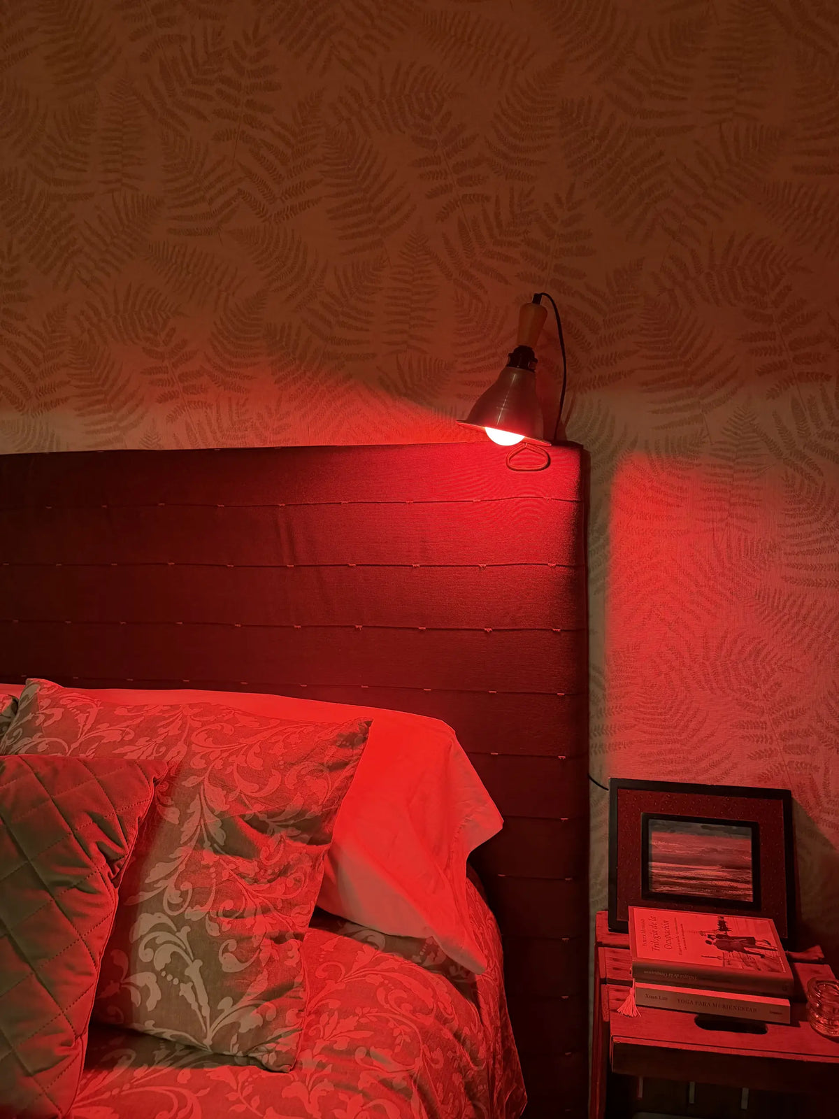 La Bombilla Roja Ekio Light: Luz sin Consecuencias